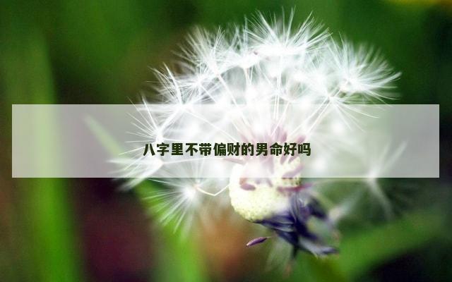 八字里不带偏财的男命好吗