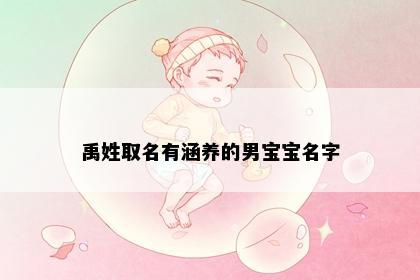 禹姓取名有涵养的男宝宝名字