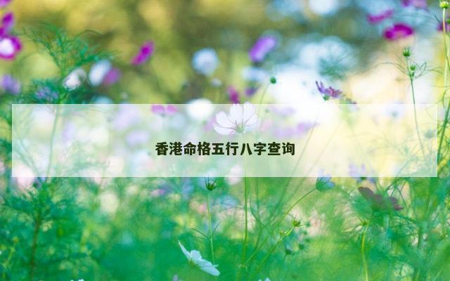 香港命格五行八字查询