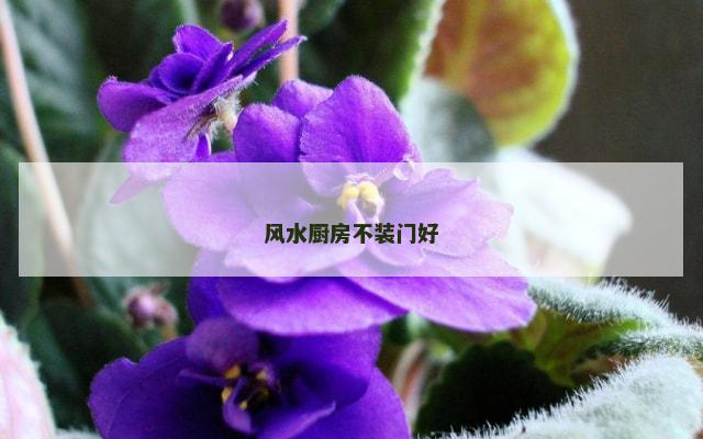 风水厨房不装门好