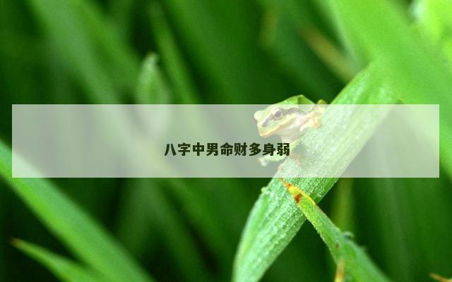八字中男命财多身弱