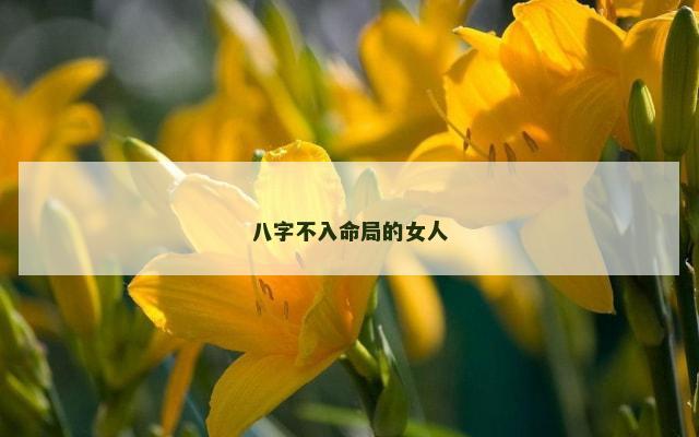 八字不入命局的女人