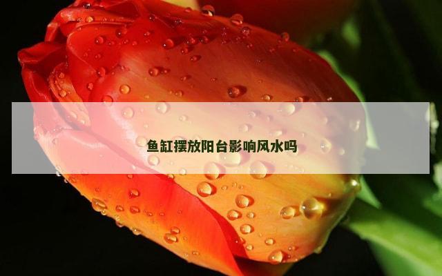 鱼缸摆放阳台影响风水吗