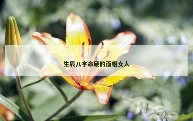 生辰八字命硬的面相女人