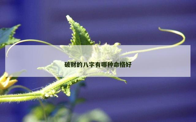 破财的八字有哪种命格好