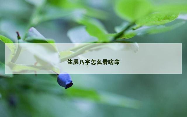 生辰八字怎么看啥命