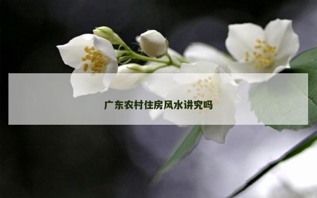 广东农村住房风水讲究吗