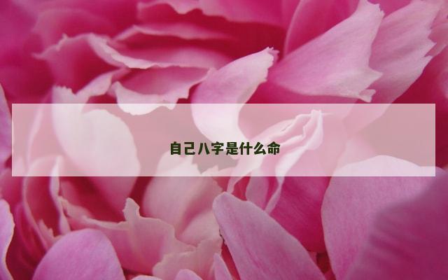 自己八字是什么命