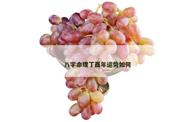 八字命理丁酉年运势如何