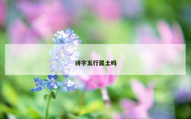 诗字五行属土吗