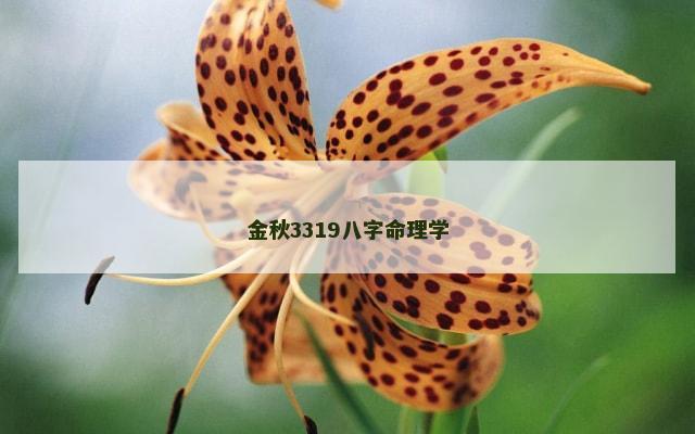 金秋3319八字命理学