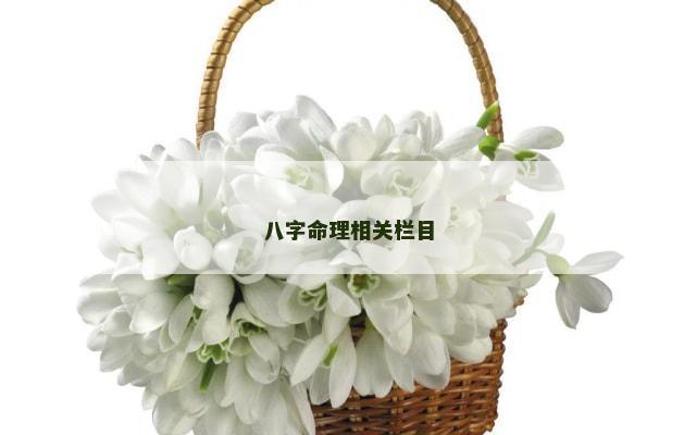 八字命理相关栏目