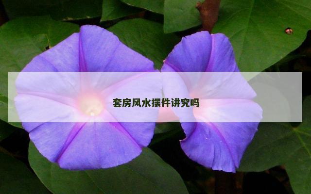 套房风水摆件讲究吗