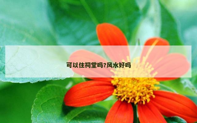 可以住祠堂吗?风水好吗