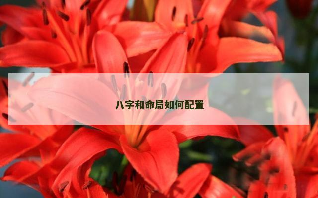 八字和命局如何配置