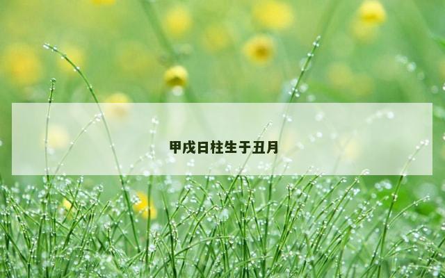 甲戌日柱生于丑月