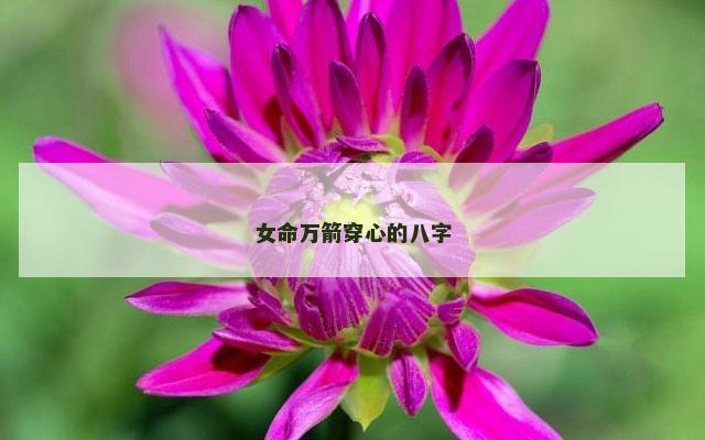 女命万箭穿心的八字
