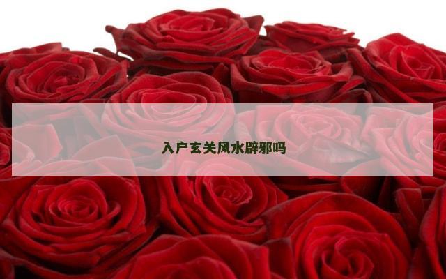 入户玄关风水辟邪吗
