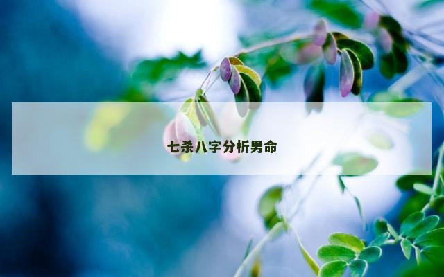 七杀八字分析男命