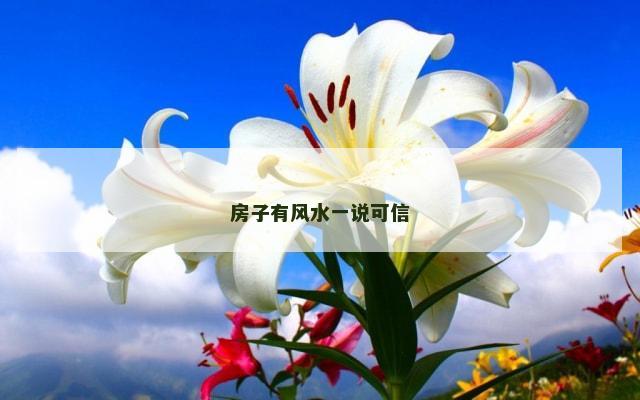 房子有风水一说可信