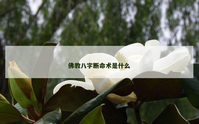 佛教八字断命术是什么