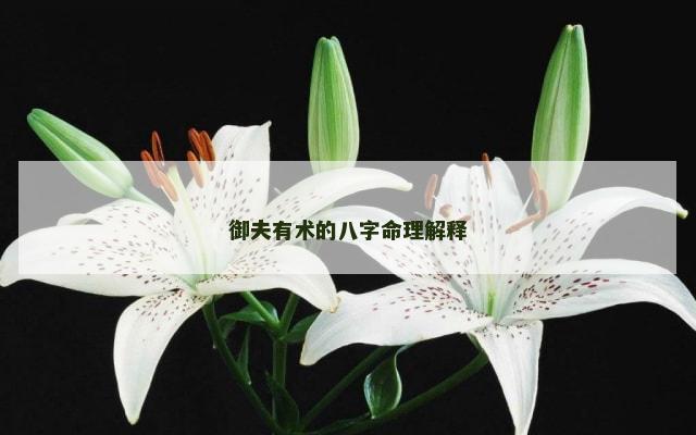 御夫有术的八字命理解释
