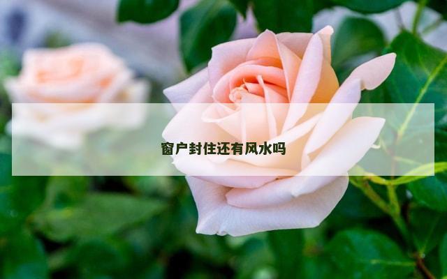 窗户封住还有风水吗