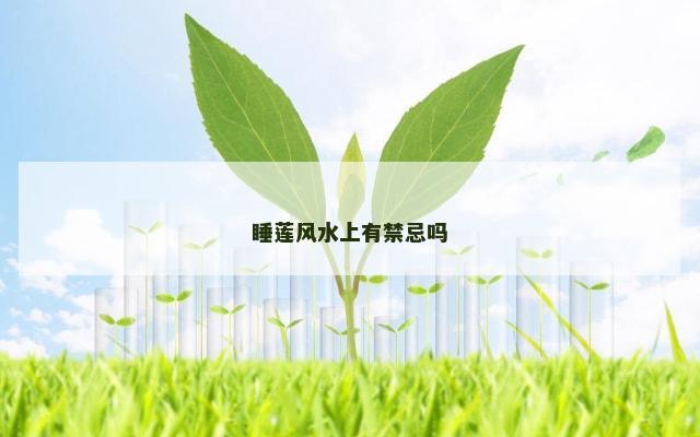 睡莲风水上有禁忌吗