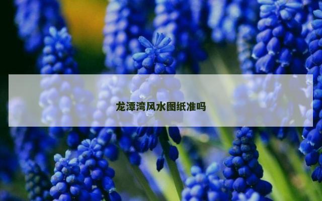 龙潭湾风水图纸准吗