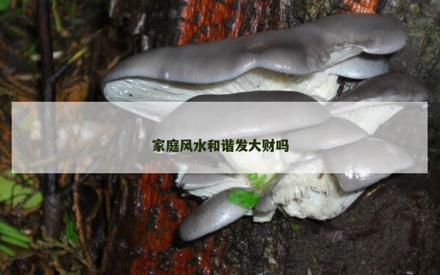 家庭风水和谐发大财吗