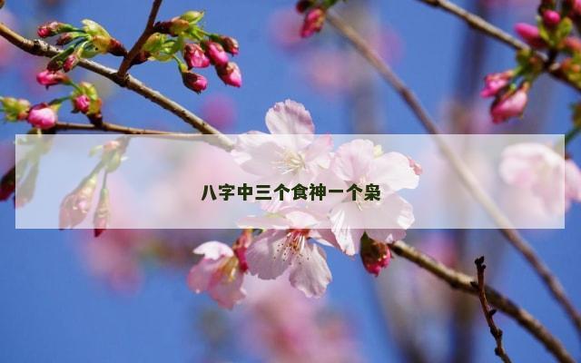 八字中三个食神一个枭
