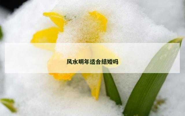 风水明年适合结婚吗