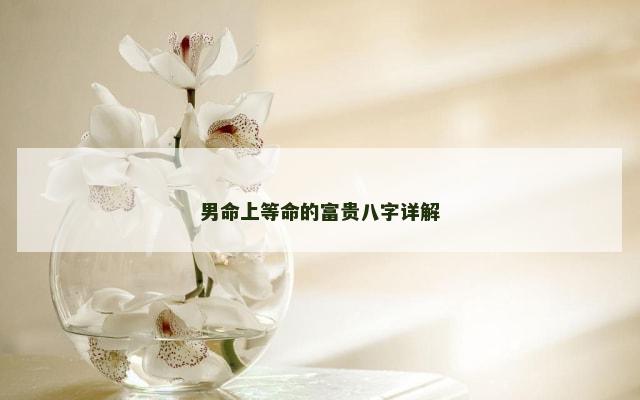 男命上等命的富贵八字详解