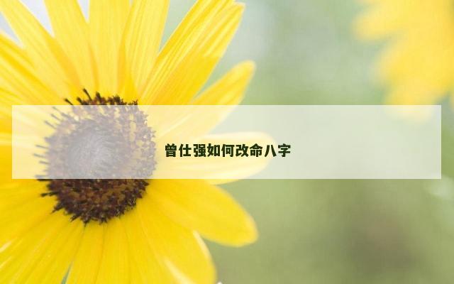 曾仕强如何改命八字