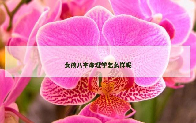 女孩八字命理学怎么样呢