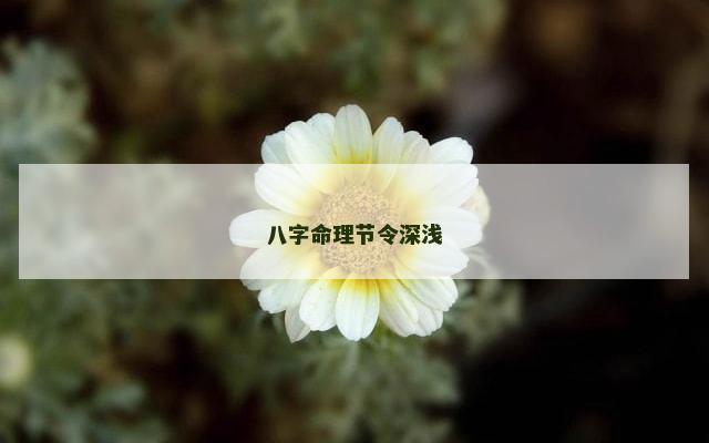 八字命理节令深浅