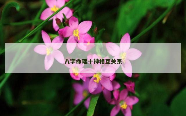 八字命理十神相互关系