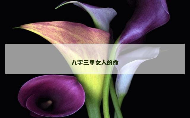 八字三甲女人的命