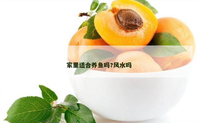 家里适合养鱼吗?风水吗