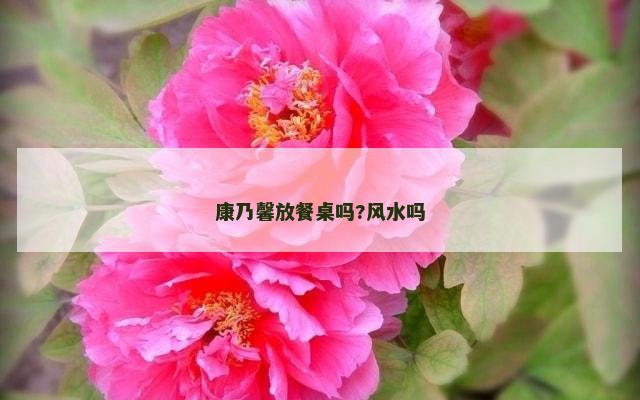 康乃馨放餐桌吗?风水吗