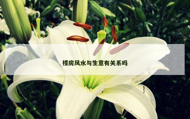 楼房风水与生意有关系吗