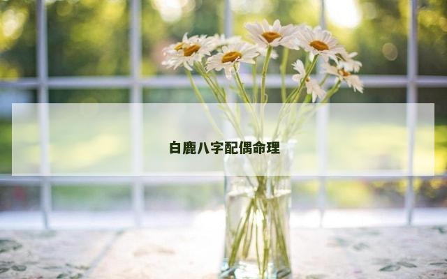 白鹿八字配偶命理