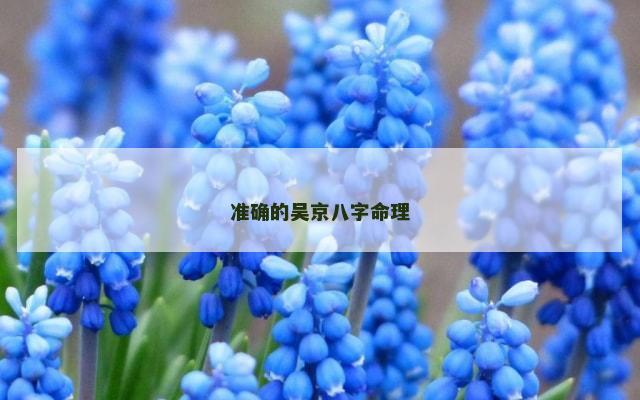 准确的吴京八字命理
