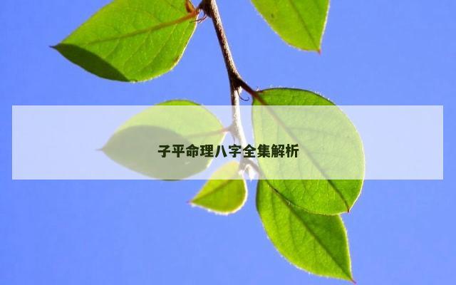 子平命理八字全集解析