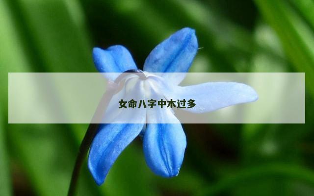 女命八字中木过多