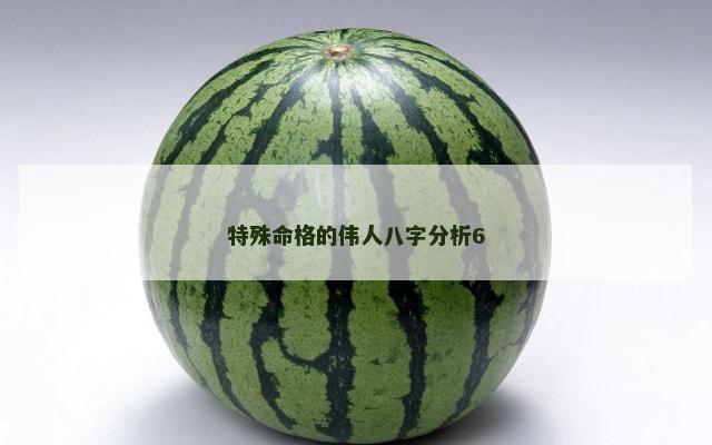 特殊命格的伟人八字分析6