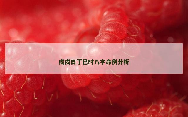 戊戌日丁巳时八字命例分析