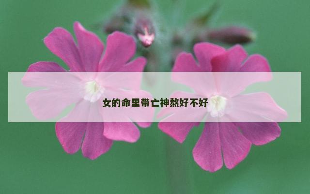 女的命里带亡神熬好不好