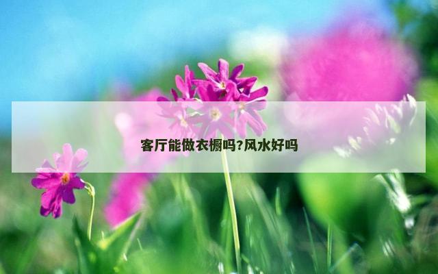 客厅能做衣橱吗?风水好吗