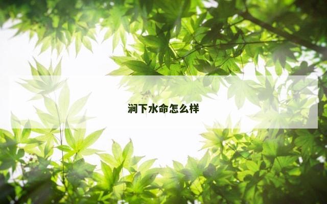 涧下水命怎么样